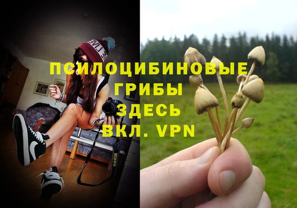синтетический гашиш Алексин