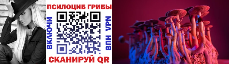 Галлюциногенные грибы GOLDEN TEACHER  Советская Гавань 